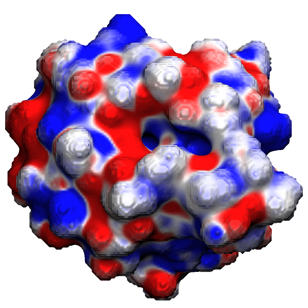 Electrostatic potential of protein 451c